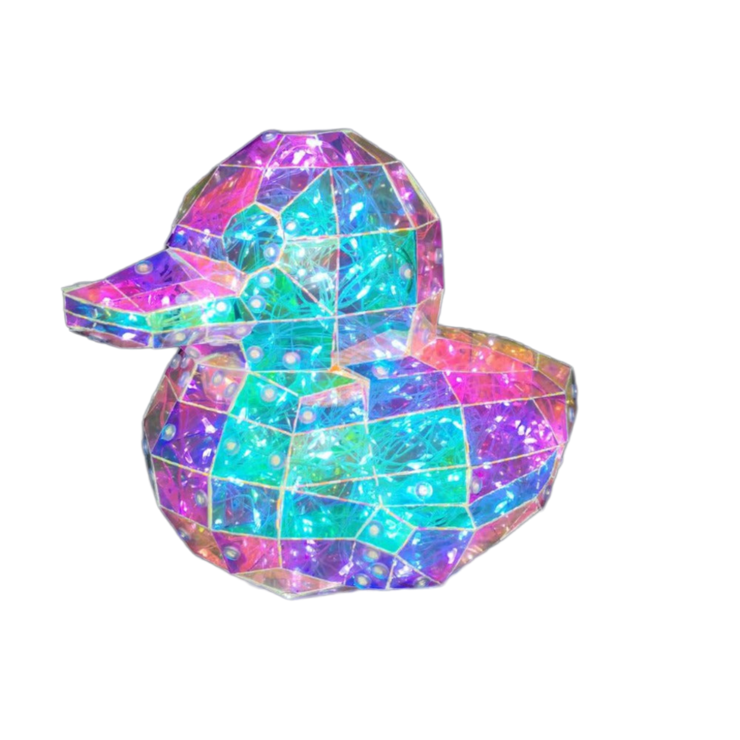 Crystal Duck Rainbow Light Up LED 