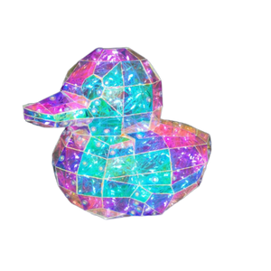 Crystal Duck Rainbow Light Up LED 