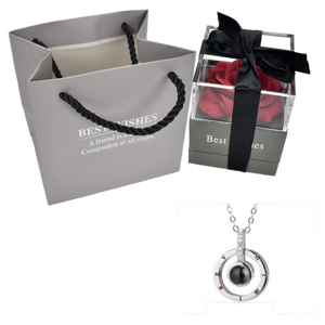 "I Love You" Forever 100 Language Micro Projection Necklace With Optional Rose Box