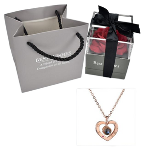 "I Love You" Forever 100 Language Micro Projection Necklace With Optional Rose Box