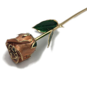 Preserved 24k Gold Long Stem Immortal Rose Closed Bud (11 Colors) with Display Stand