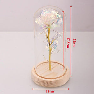 Galaxy Enchanted Rose LED Glass Display (8 Designs)