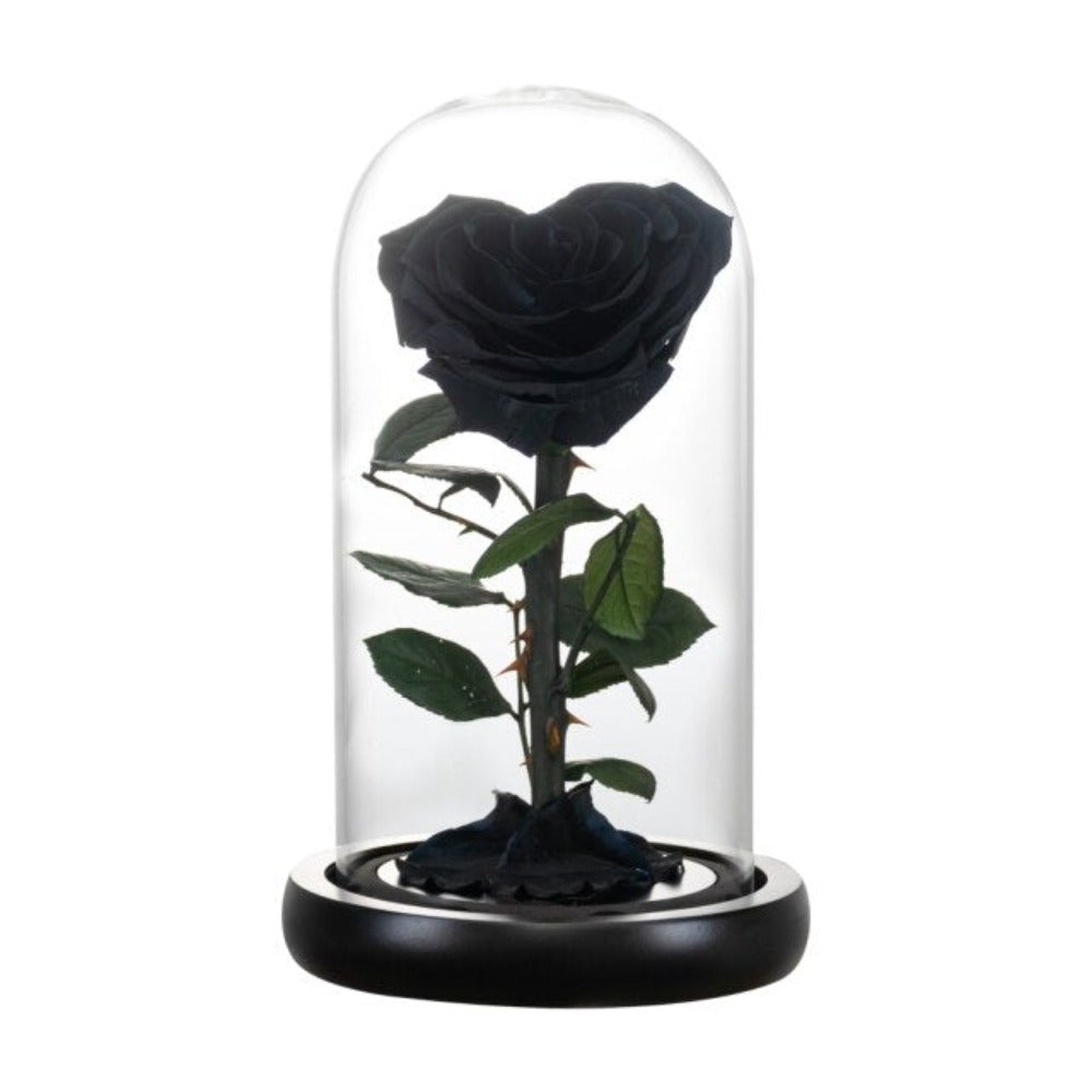 Heart Shaped Immortal Enchanted Preserved Rose Glass Display (3 Colors) 2 Sizes