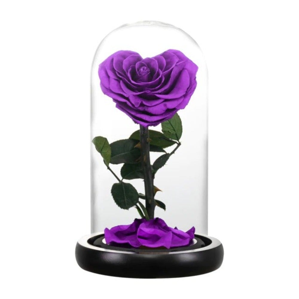 Heart Shaped Immortal Enchanted Preserved Rose Glass Display (3 Colors) 2 Sizes