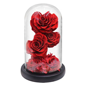 Heart Shaped Immortal Enchanted Preserved Rose Glass Display (3 Colors) 2 Sizes