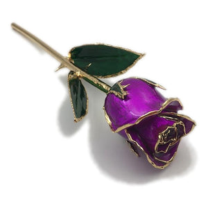 Preserved 24k Gold Long Stem Immortal Rose Closed Bud (11 Colors) with Display Stand