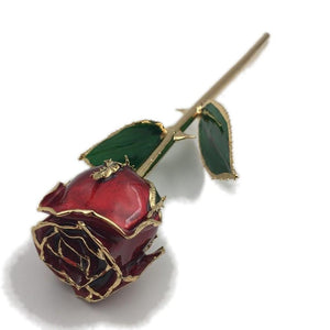 Preserved 24k Gold Long Stem Immortal Rose Closed Bud (11 Colors) with Display Stand
