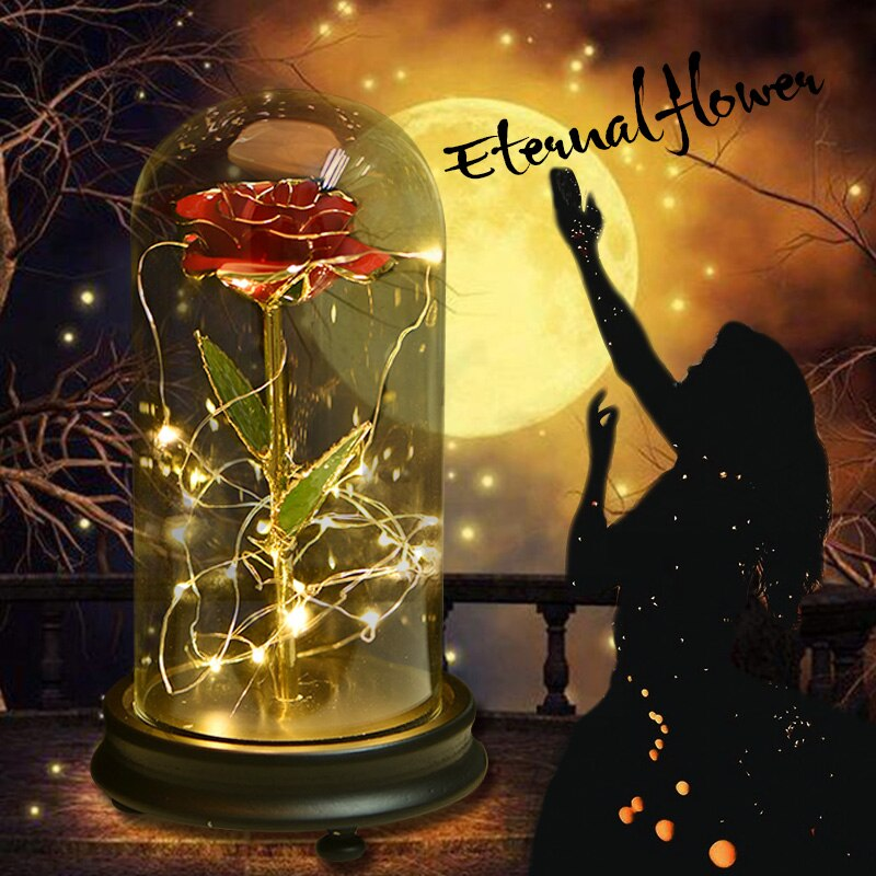 Immortal 24k Enchanted Rose LED Glass Display (5 Designs)