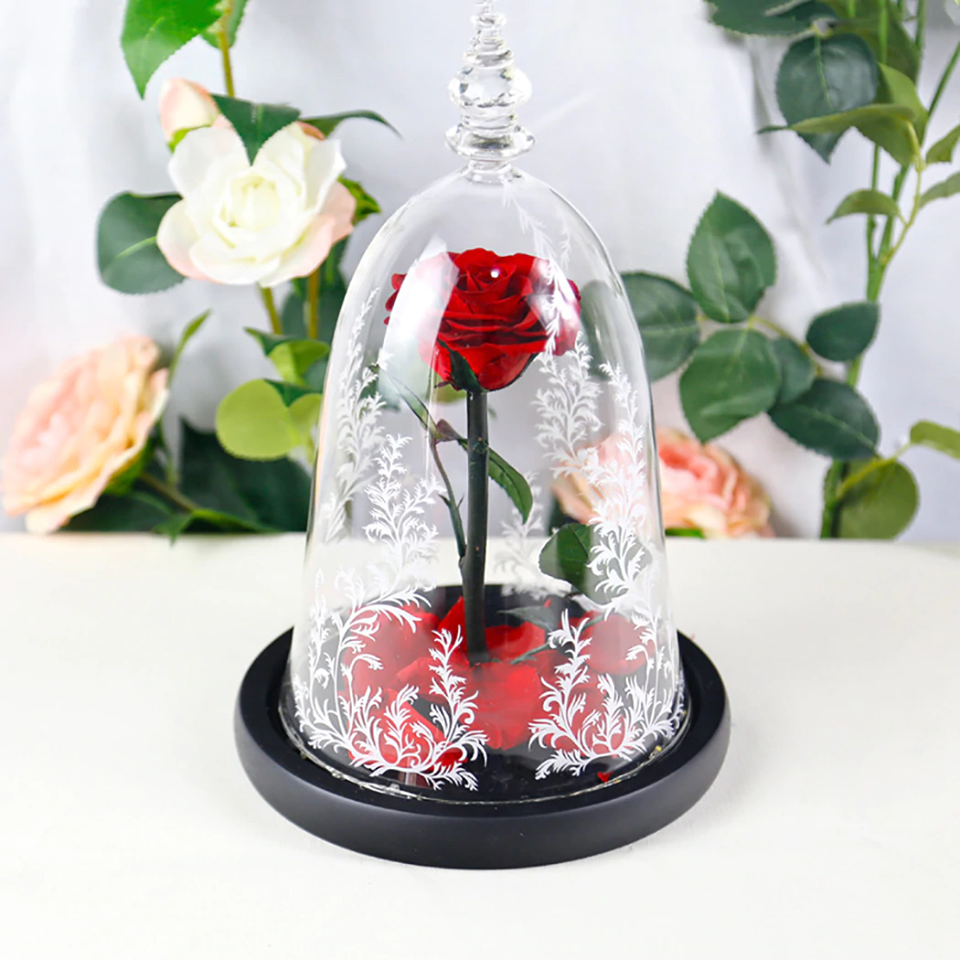 Immortal Enchanted Bell Rose LED Glass Display (Preserved or Artificial)