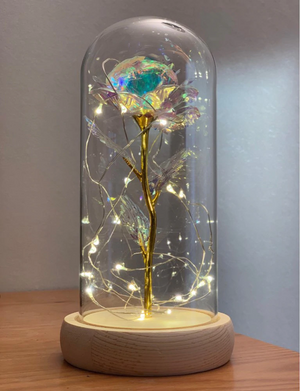 Galaxy Enchanted Rose LED Glass Display