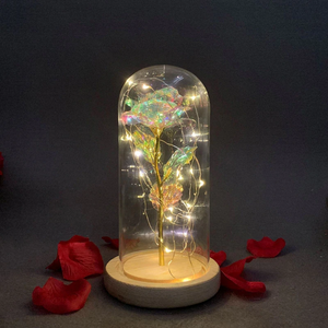 Galaxy Enchanted Rose LED Glass Display