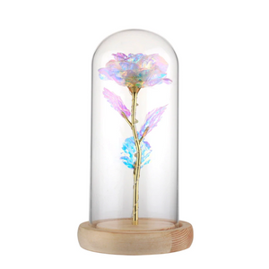 Galaxy Enchanted Rose LED Glass Display