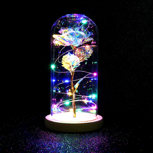 Galaxy Enchanted Rose LED Glass Display