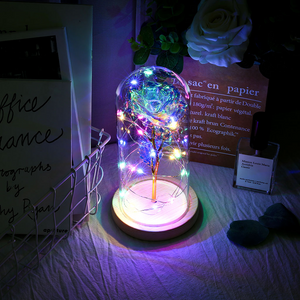 Galaxy Enchanted Rose LED Glass Display