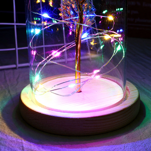 Galaxy Enchanted Rose LED Glass Display