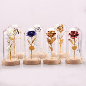 Galaxy Enchanted Rose LED Glass Display (8 Designs)