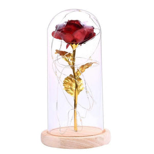 Galaxy Enchanted Rose LED Glass Display (8 Designs)