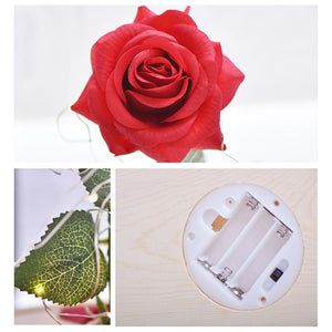 Immortal Enchanted Bell Rose LED Glass Display (Preserved or Artificial)