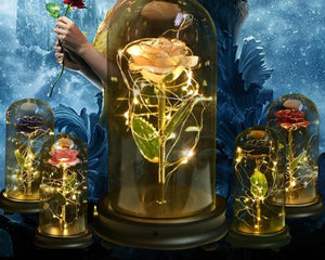 Immortal 24k Enchanted Rose LED Glass Display (5 Designs)