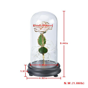 Immortal 24k Enchanted Rose LED Glass Display (5 Designs)