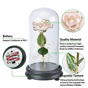 Immortal 24k Enchanted Rose LED Glass Display (5 Designs)