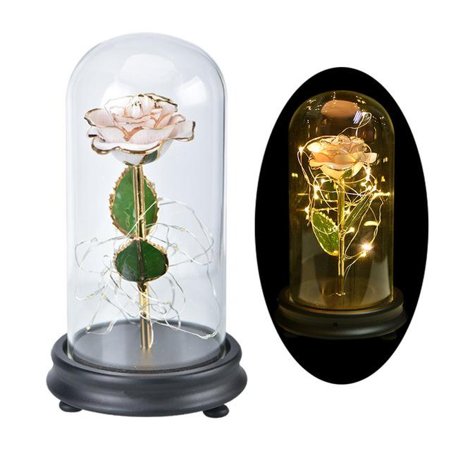 Immortal 24k Enchanted Rose LED Glass Display (5 Designs)