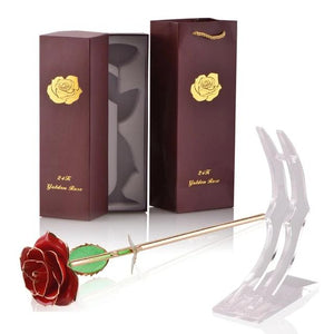 Preserved 24k Gold Long Stem Immortal Rose (16 Colors)