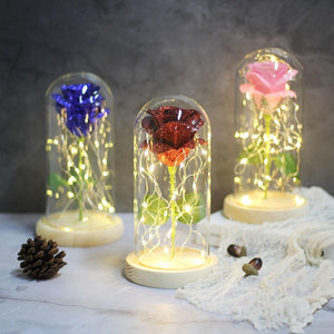 Shimmering Glitter Enchanted Rose LED Glass Display (10 Variants)