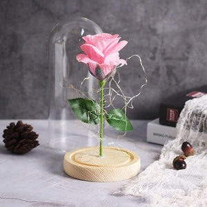 Shimmering Glitter Enchanted Rose LED Glass Display (10 Variants)