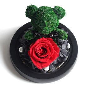 Immortal Preserved Rose Teddy Bear Glass LED Display (4 Colors)