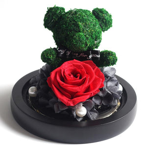 Immortal Preserved Rose Teddy Bear Glass LED Display (4 Colors)