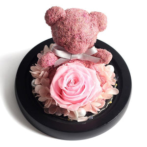 Immortal Preserved Rose Teddy Bear Glass LED Display (4 Colors)