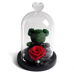 Immortal Preserved Rose Teddy Bear Glass LED Display (4 Colors)