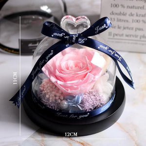 Immortal Enchanted Rose Glass Heart Dome (15 Designs)