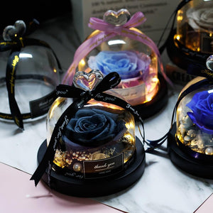 Immortal Enchanted Rose Glass Heart Dome (15 Designs)