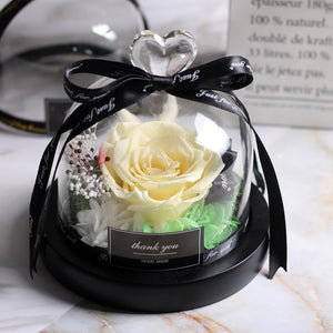 Immortal Enchanted Rose Glass Heart Dome (15 Designs)