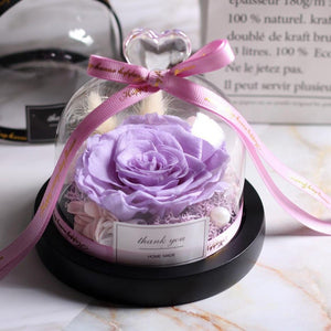 Immortal Enchanted Rose Glass Heart Dome (15 Designs)