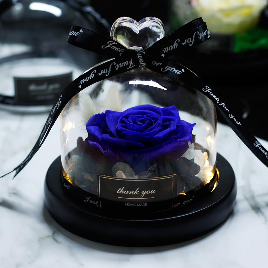 Immortal Enchanted Rose Glass Heart Dome (15 Designs)