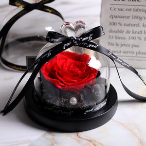 Immortal Enchanted Rose Glass Heart Dome (15 Designs)