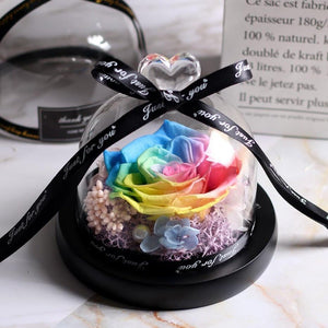 Immortal Enchanted Rose Glass Heart Dome (15 Designs)