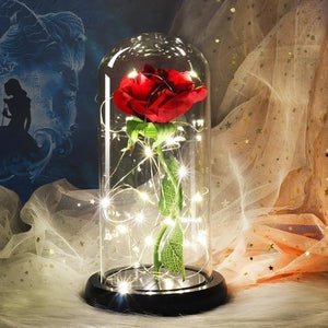 Galaxy Enchanted Rose LED Glass Display (8 Designs)