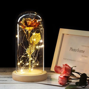 Galaxy Enchanted Rose LED Glass Display (8 Designs)