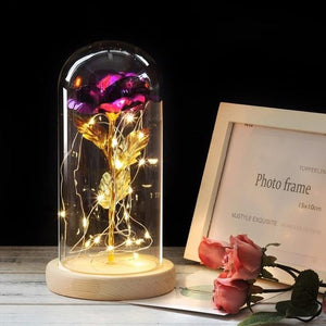 Galaxy Enchanted Rose LED Glass Display (8 Designs)