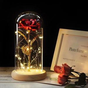 Galaxy Enchanted Rose LED Glass Display (8 Designs)