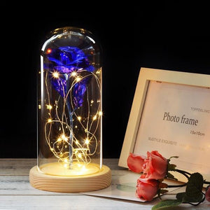 Galaxy Enchanted Rose LED Glass Display (8 Designs)