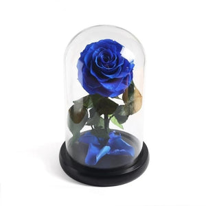 Immortal Enchanted Preserved Rose Glass Display (5 Colors)
