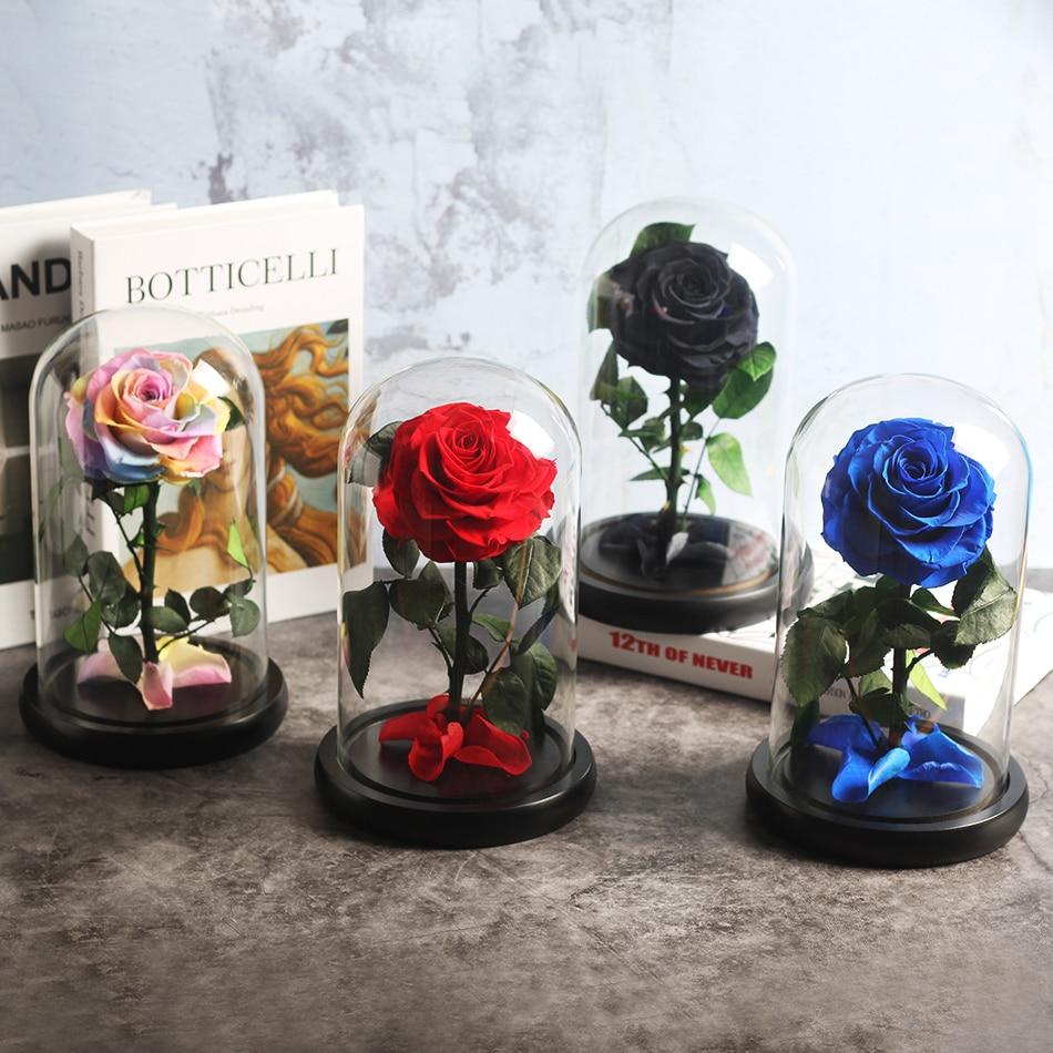 Immortal Enchanted Preserved Rose Glass Display (5 Colors)