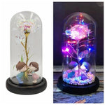 Rainbow Orbs Galaxy Enchanted Rose LED Glass Display (7 Designs)