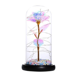 Rainbow Orbs Galaxy Enchanted Rose LED Glass Display (7 Designs)