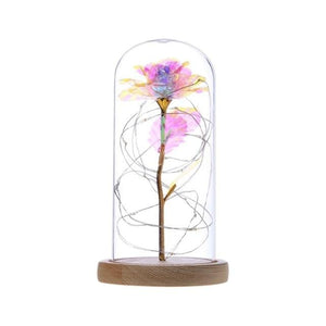 Rainbow Orbs Galaxy Enchanted Rose LED Glass Display (7 Designs)